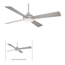 Fans