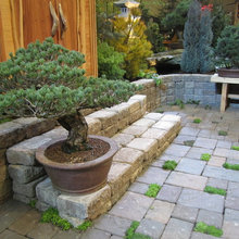 Bonsai