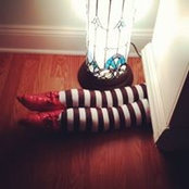 Donna Simone's photo