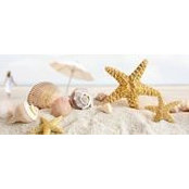 Denisa Mocuta's photo
