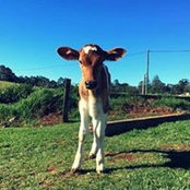 Gillian Bail's photo