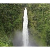 Lisa Hayes's photo