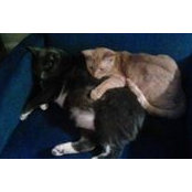 Laura Regier's photo