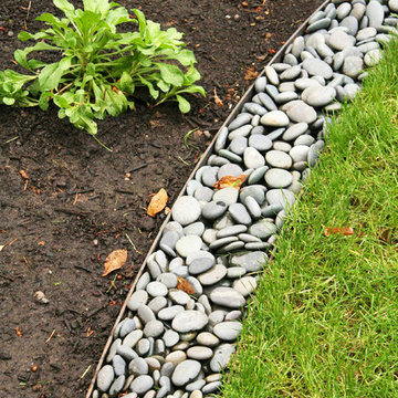 David and Terri's backyard