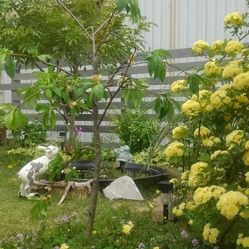 カラー＆アートモデル