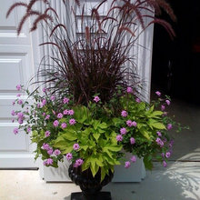 flower pots