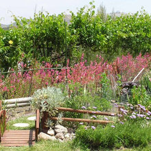 Landscape Ideas