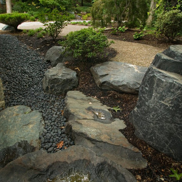Dry River Bed
