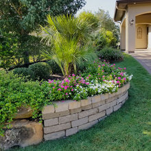 Landscape Ideas