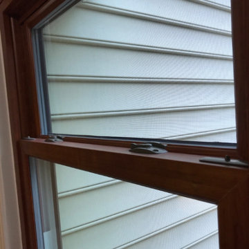 Windows and Doors