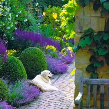 Fine Garden Design and Care