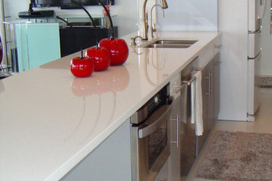 Kitchen - contemporary kitchen idea in Miami