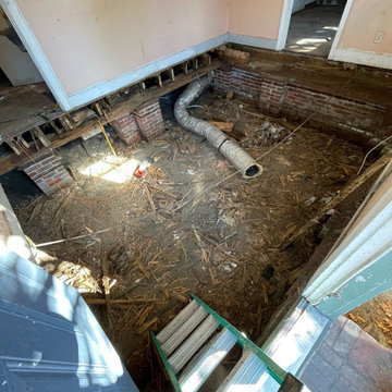 Termite Damage Is at it Again