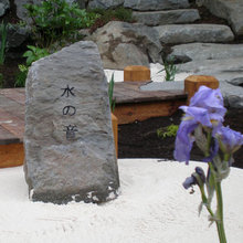 Hawaii - Rock garden