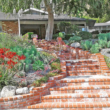 Drought Tolerant Landscape Design--Front Yard