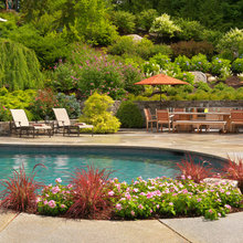 Backyard & Pool