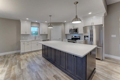 Kitchen - transitional kitchen idea in Chicago