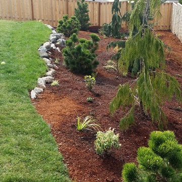 Camas Challenge/Just Planted