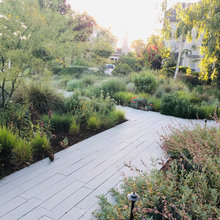 landscape front yard