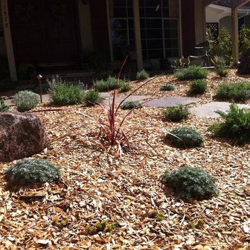 Front Lawn Rebate Project