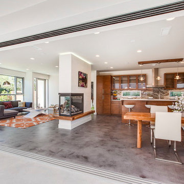 Venice Beach modern house