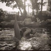 Neil Roberts's photo