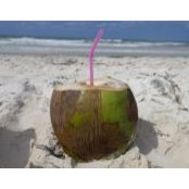 Sylvie Martin's photo