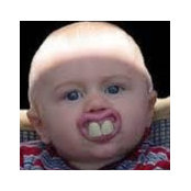 Dan Smith's photo