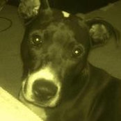 Becky Mullis's photo