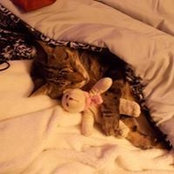 Laura Manning's photo