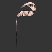 Mohsin Amjed's photo