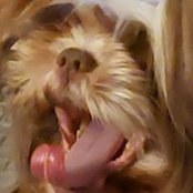Linda Whitman's photo