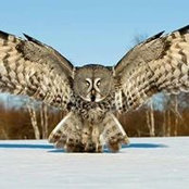 Craig Cowley's photo