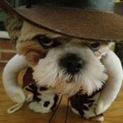 Deborah Bruzzese's photo