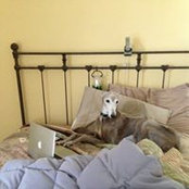 Cathy Kiburtz's photo