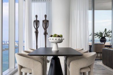 Dining room - contemporary dining room idea in Miami