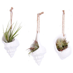Beach Style Indoor Pots And Planters by DEI