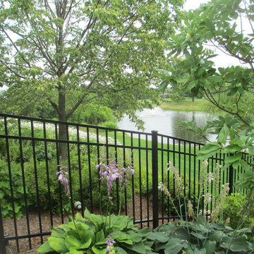 Pond view