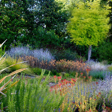 Garden design - Foliages