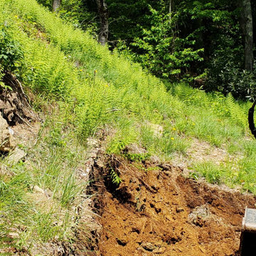 Landslide from Water & Soil Erosion Backyard Transformation
