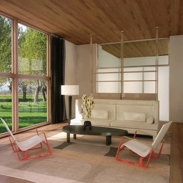 House for an Art Collector