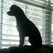 Donna Ingram-Rohler's photo