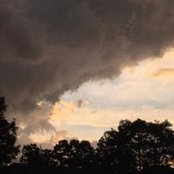 Mickey Harpaz's photo