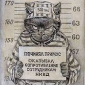 Дмитрий Файнбергさんの写真
