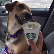 Leann Rybicki's photo