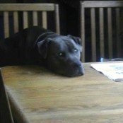 David Groth's photo