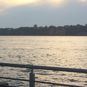 Atara Y's photo