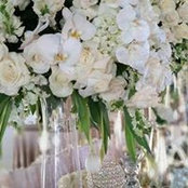 Cinthya Eventos's photo