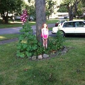 Photo de Marilyn Caputo