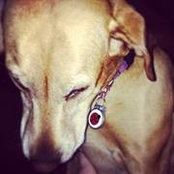 Kassy Blackmon's photo